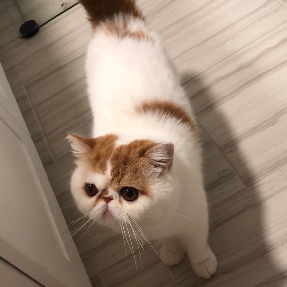 ashleyhe1